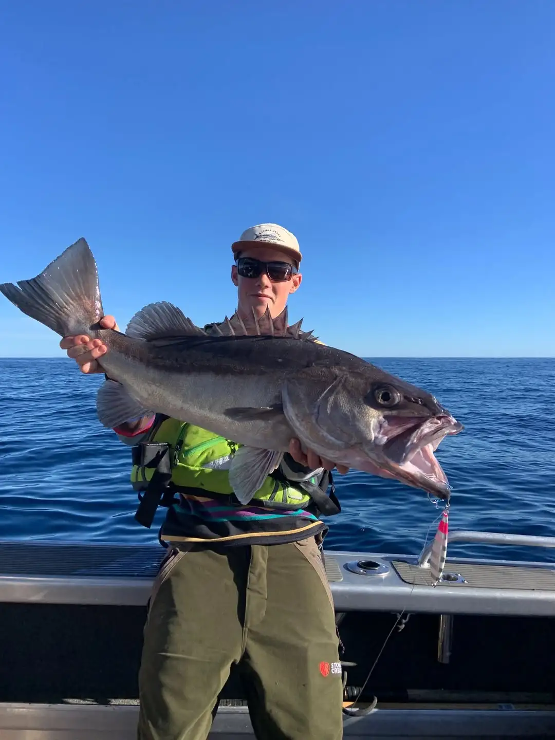 😅新西兰留子适合带仇人去的8个地方。。