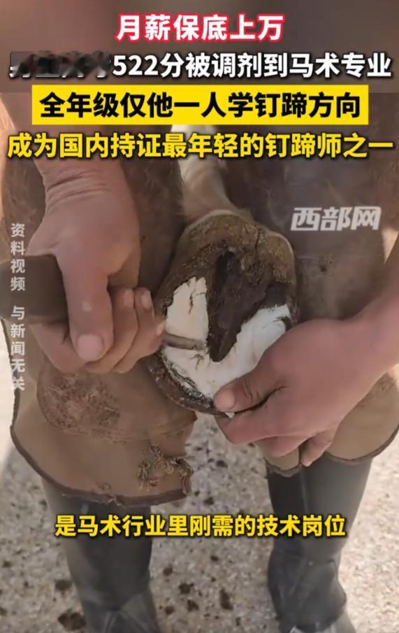 果然是物以稀为贵！全国只有70个人会的手艺，一个被调剂的大四学生考上了高考52
