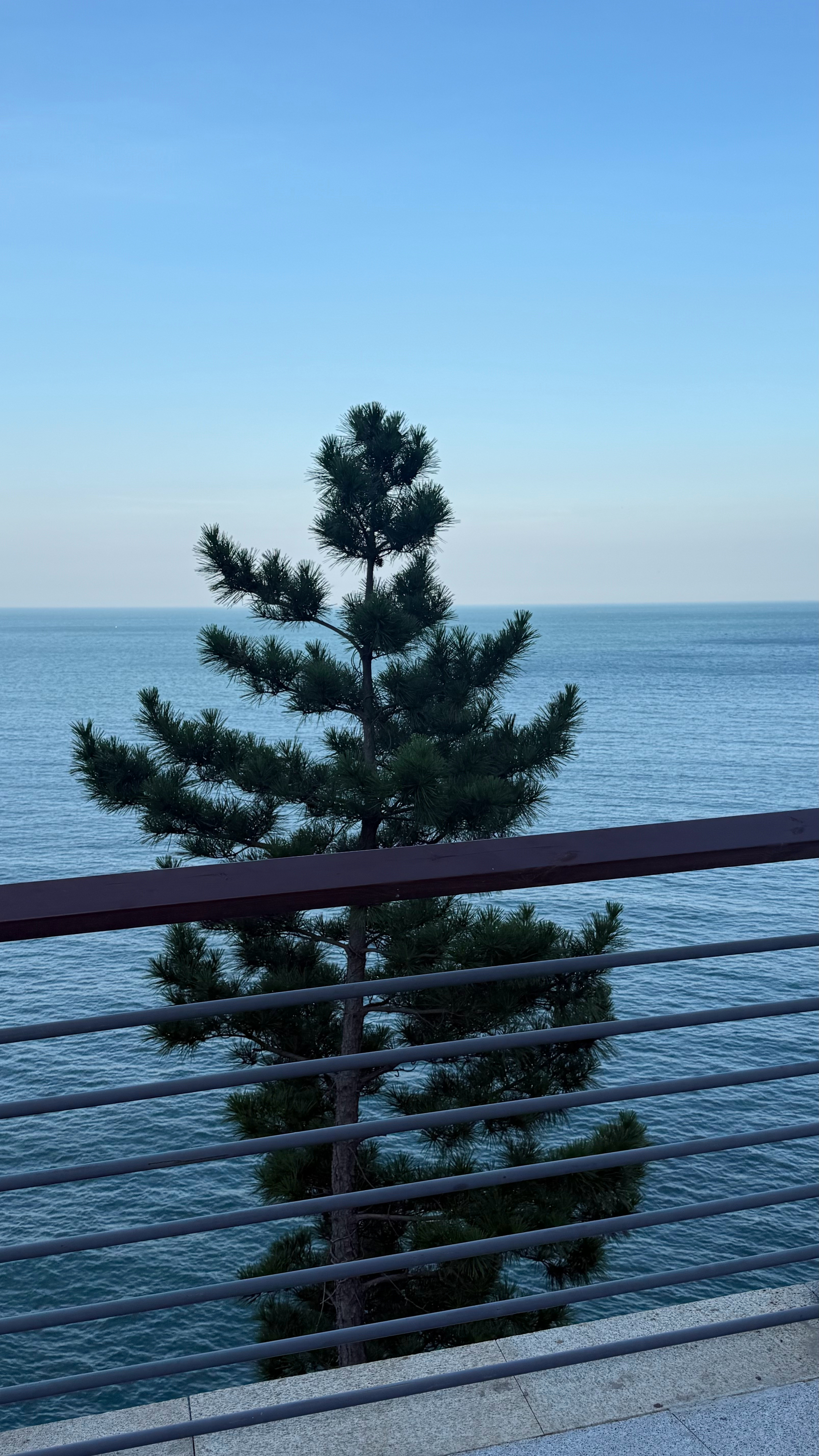 去青岛一定要一定要挑一个好天气去崂山看海，去之前自己在便利店买个面包和水，（因为