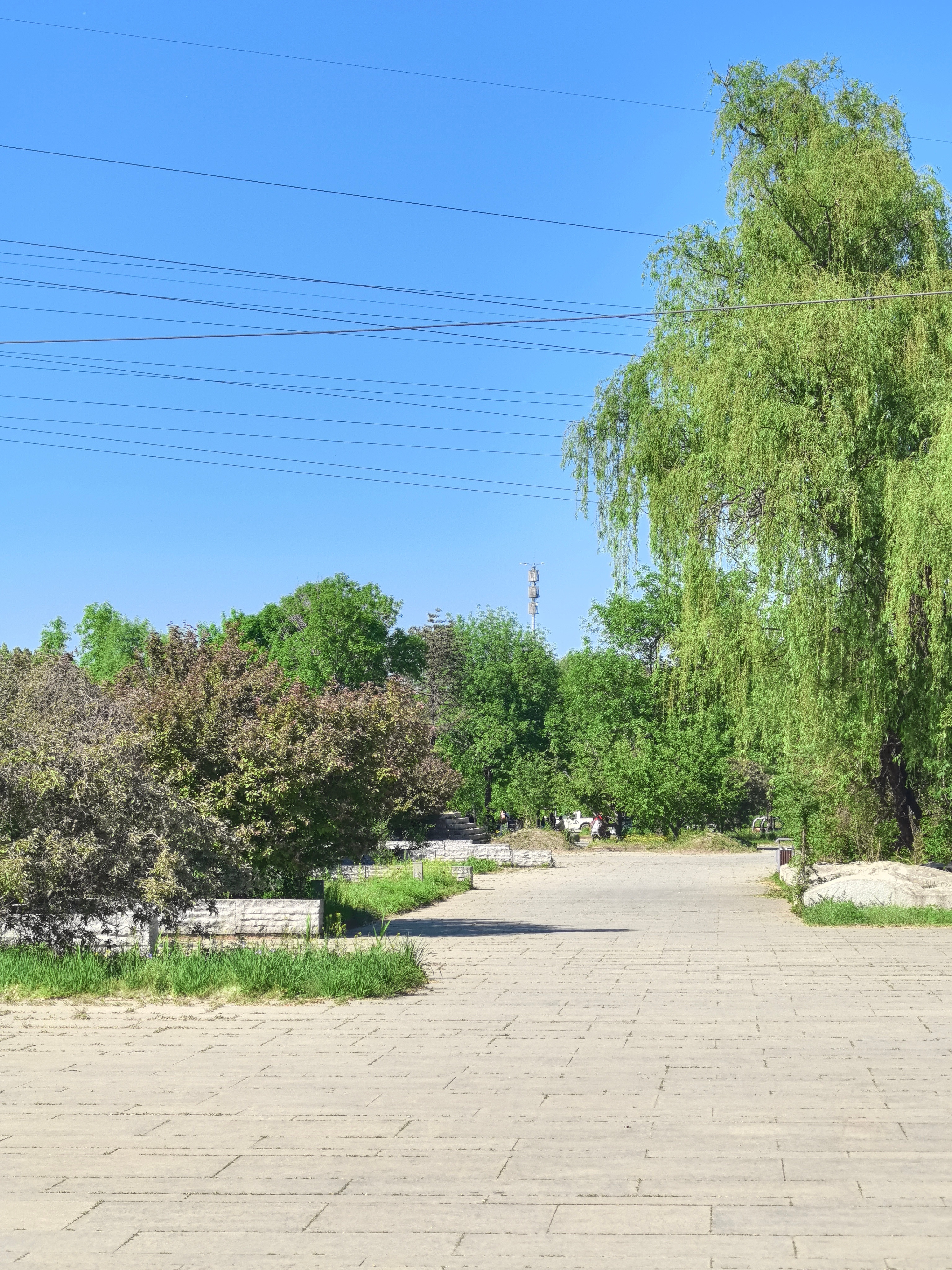 出发给儿子开家长会去～