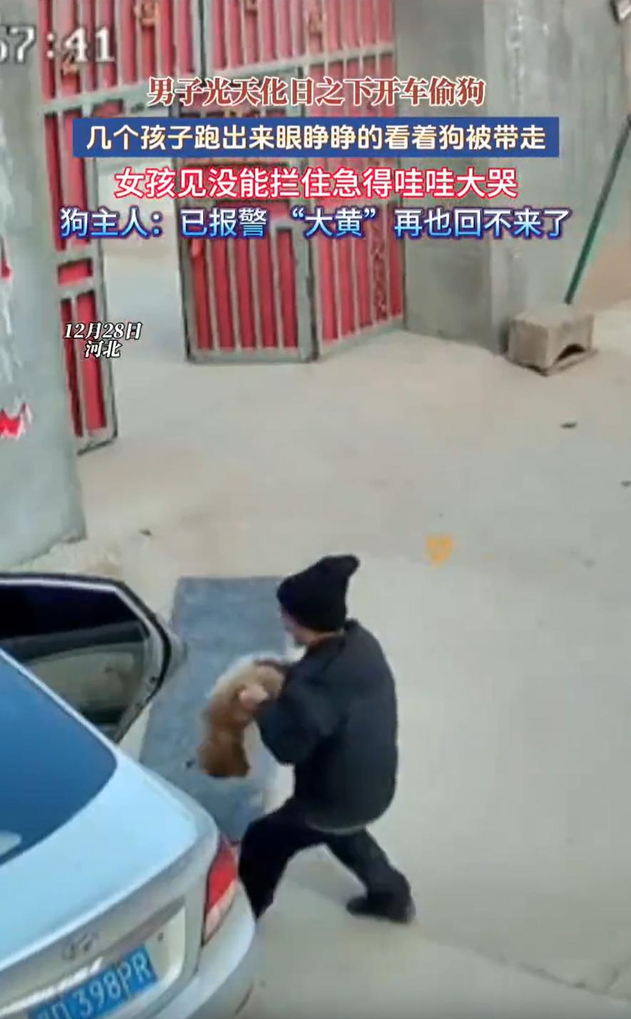 这也太嚣张了！河北，一男子光天化日之下，直接在别人家门口偷狗，家里的孩子眼睁睁看