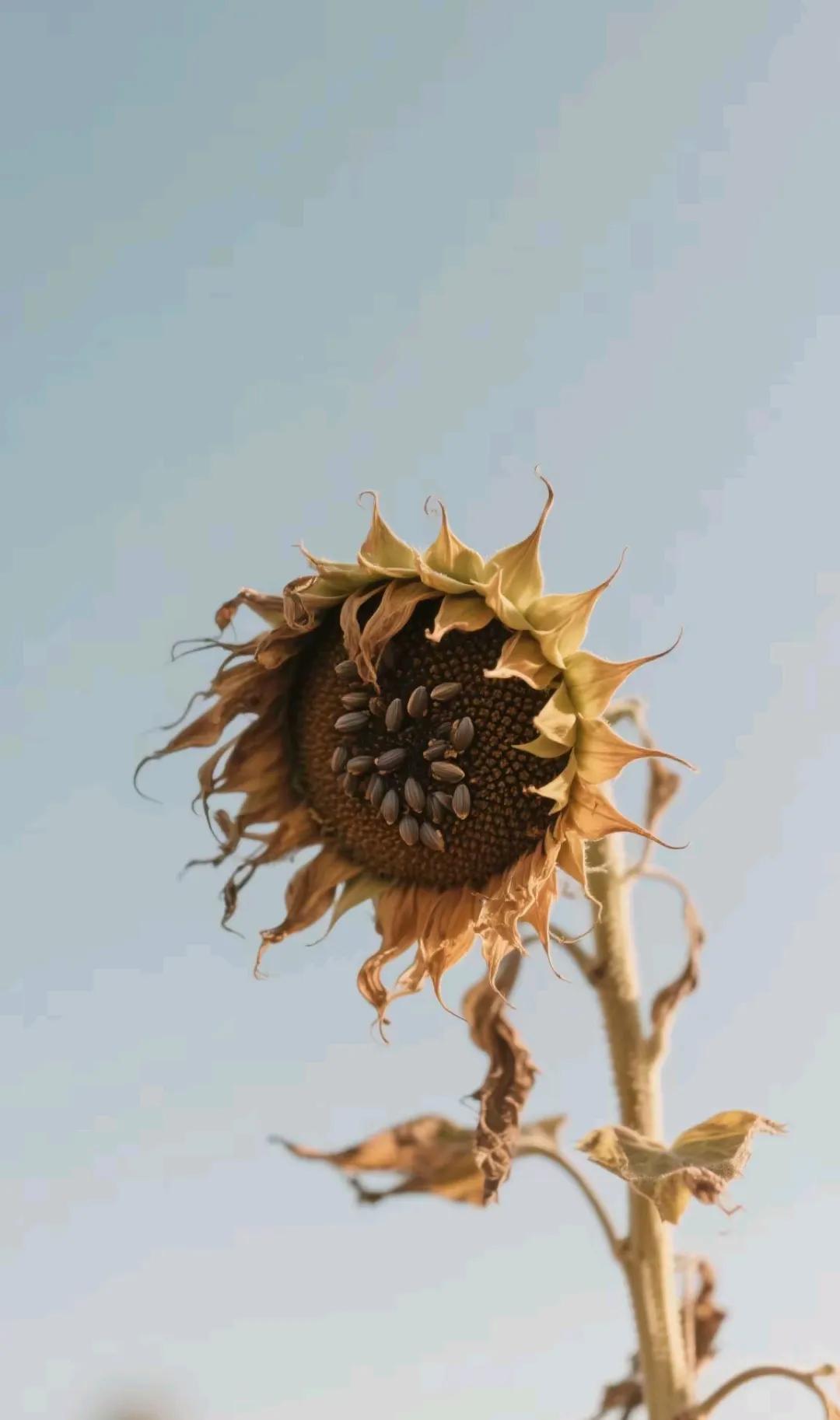 很扎心的一段话：人生第一课：接受老公不爱你。人生第二课：接受孩子