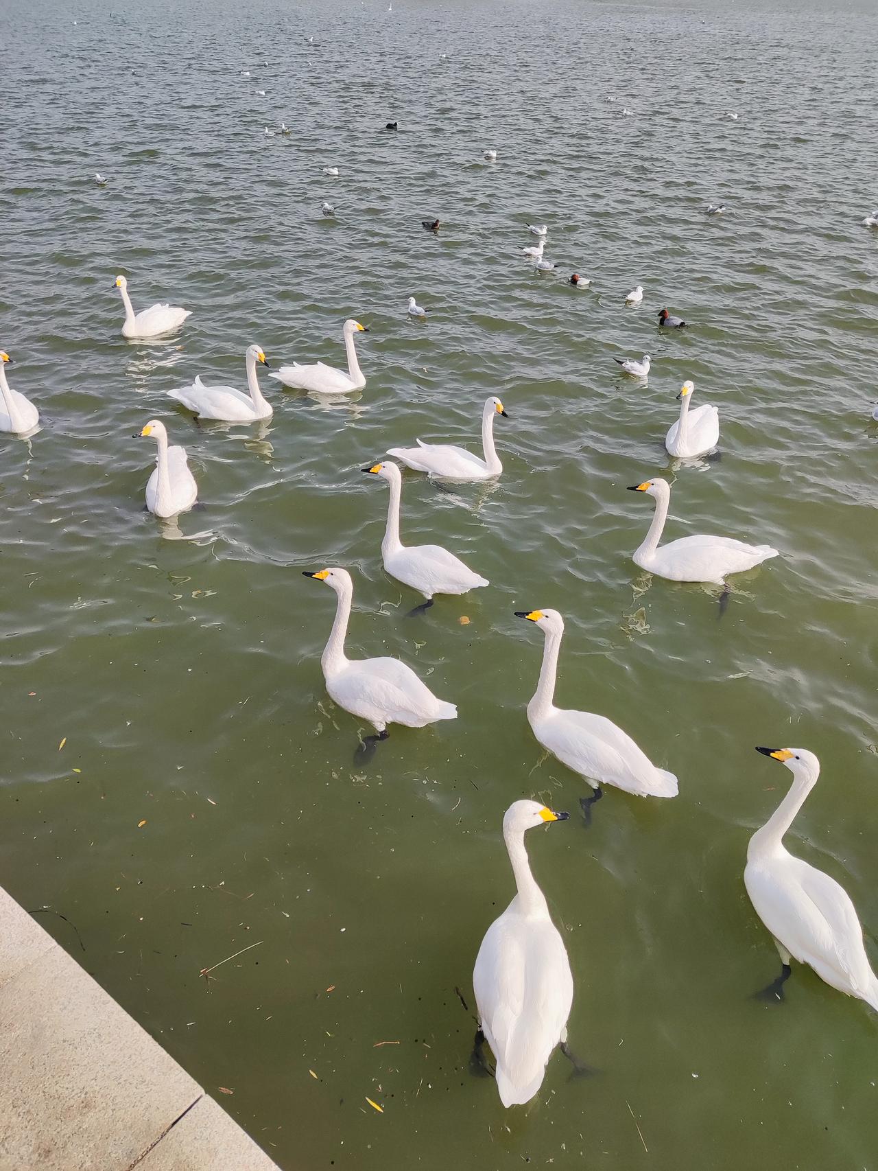大道至简：国学智慧里的处世从容在快节奏的现代社会，人们总被繁杂的琐事裹挟，