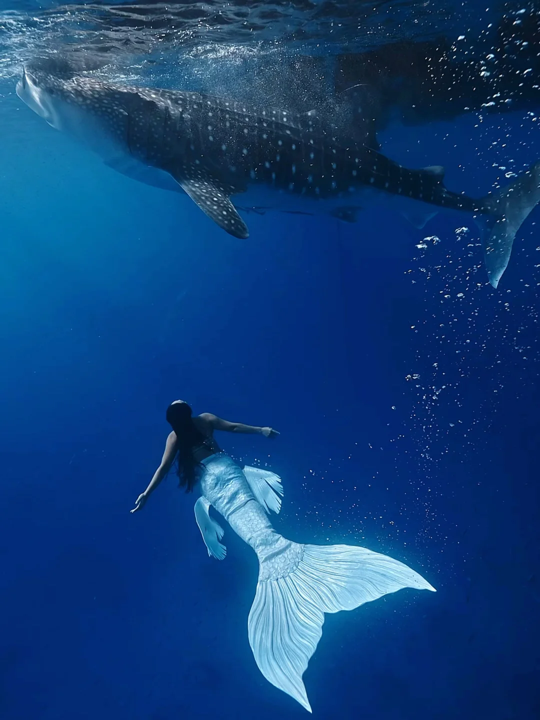 去了5次菲律宾，总结这条宿务游玩路线‼️