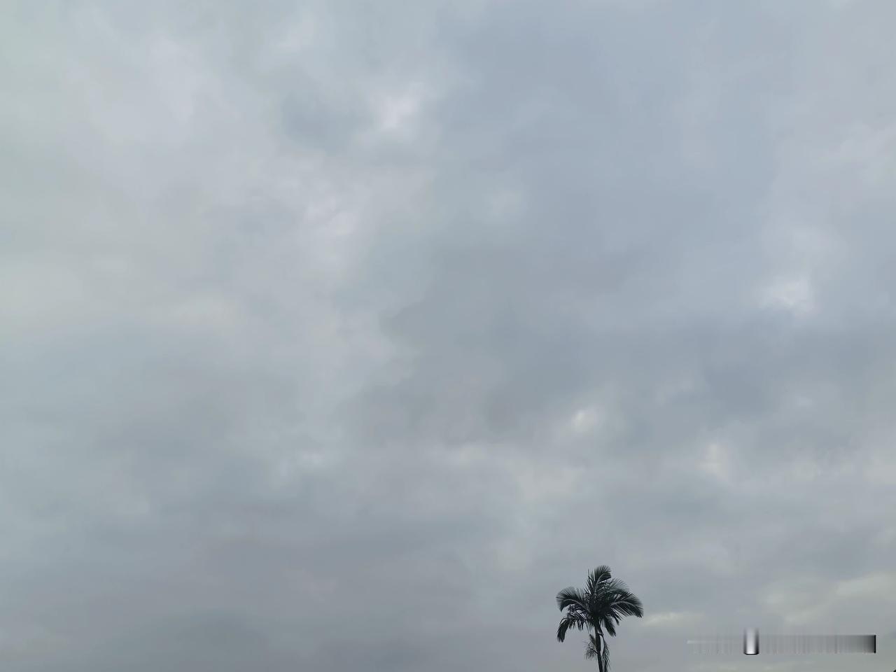 26号台风“舒力基”已经生成！中秋节广东还能好好赏月吗？今年第26号台风“舒