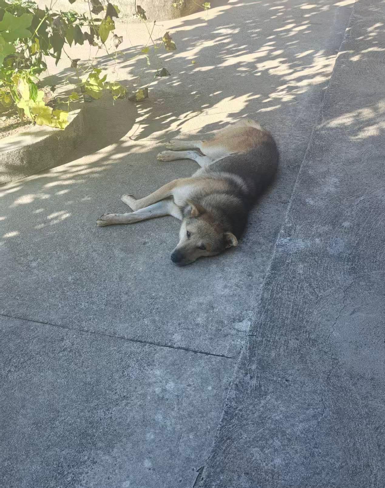 2025年终总结1，没有换房怒省80万同事22年买的房，至今亏了80万