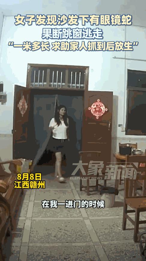 “太吓人了！”8月8日，江西赣州，一女子回家后，听到沙发下传来怪响，她蹲下一看，