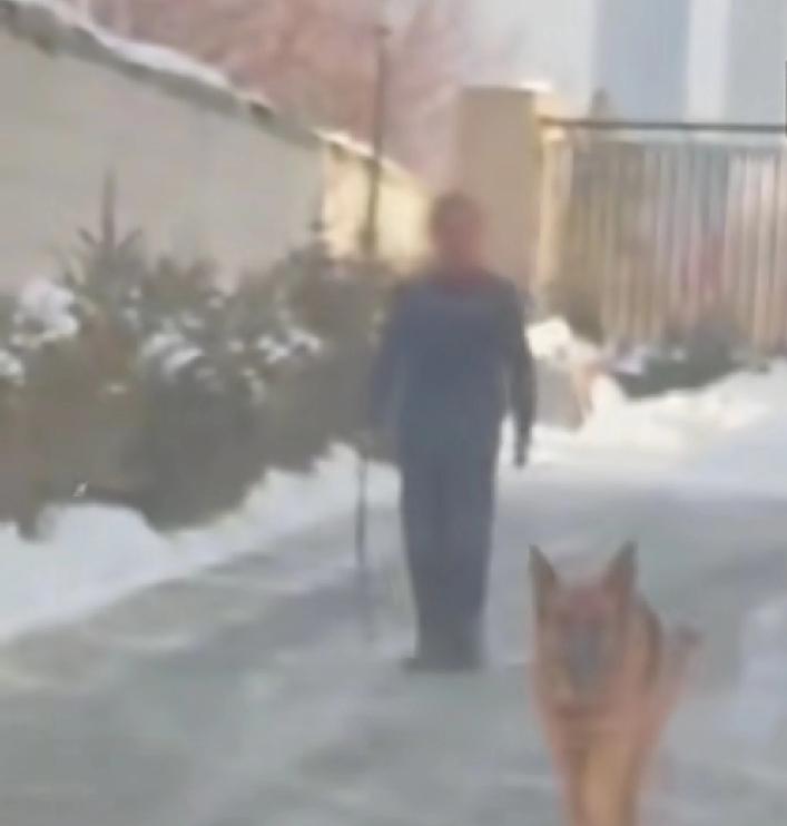 从今天开始，如果大家在街上再看到遛狗不拴绳的话那么大家可以拿电话直接联系相关部