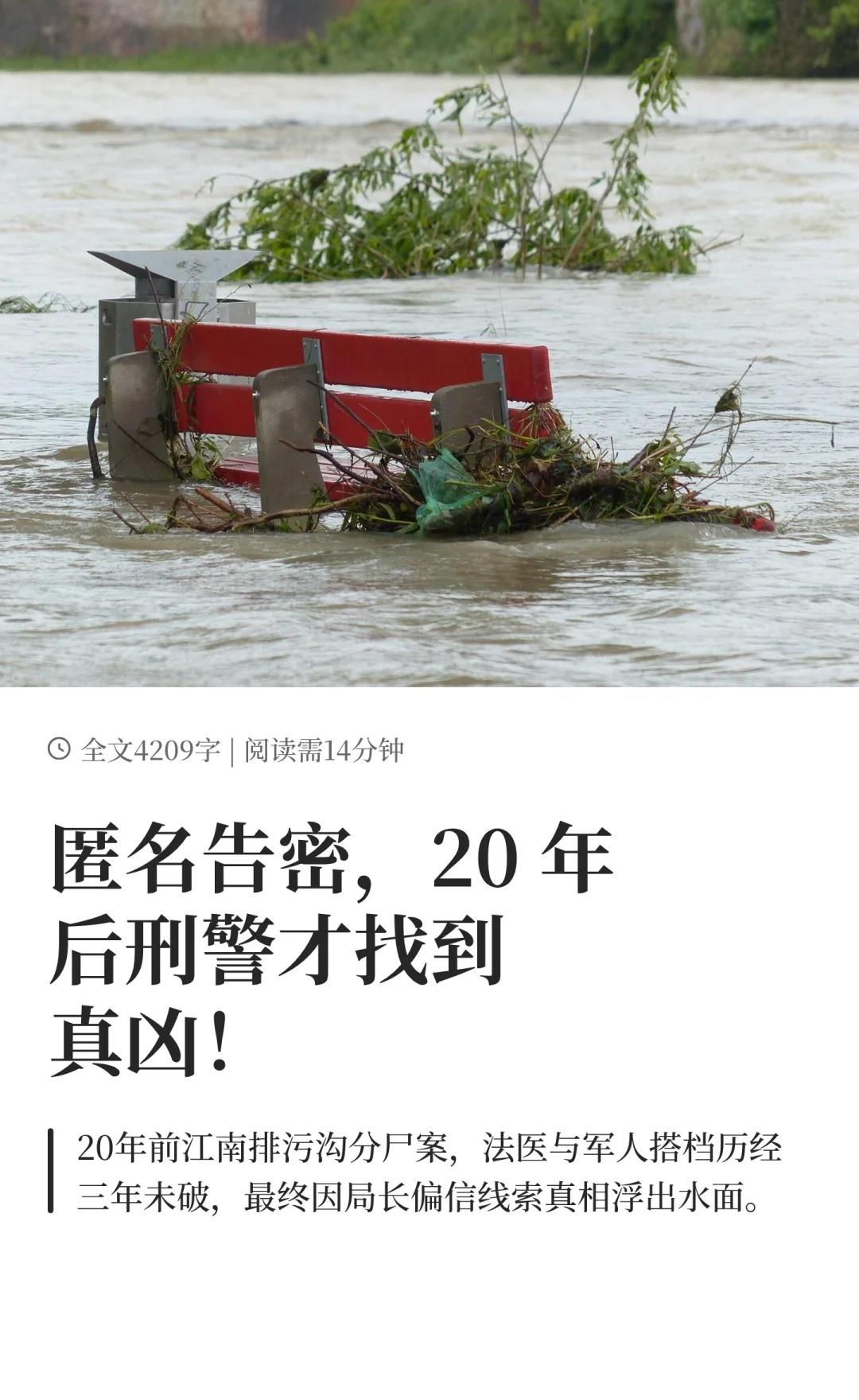 匿名告密，20年后刑警才找到真凶！20年前江南排污沟分尸案，法医与军人搭档历