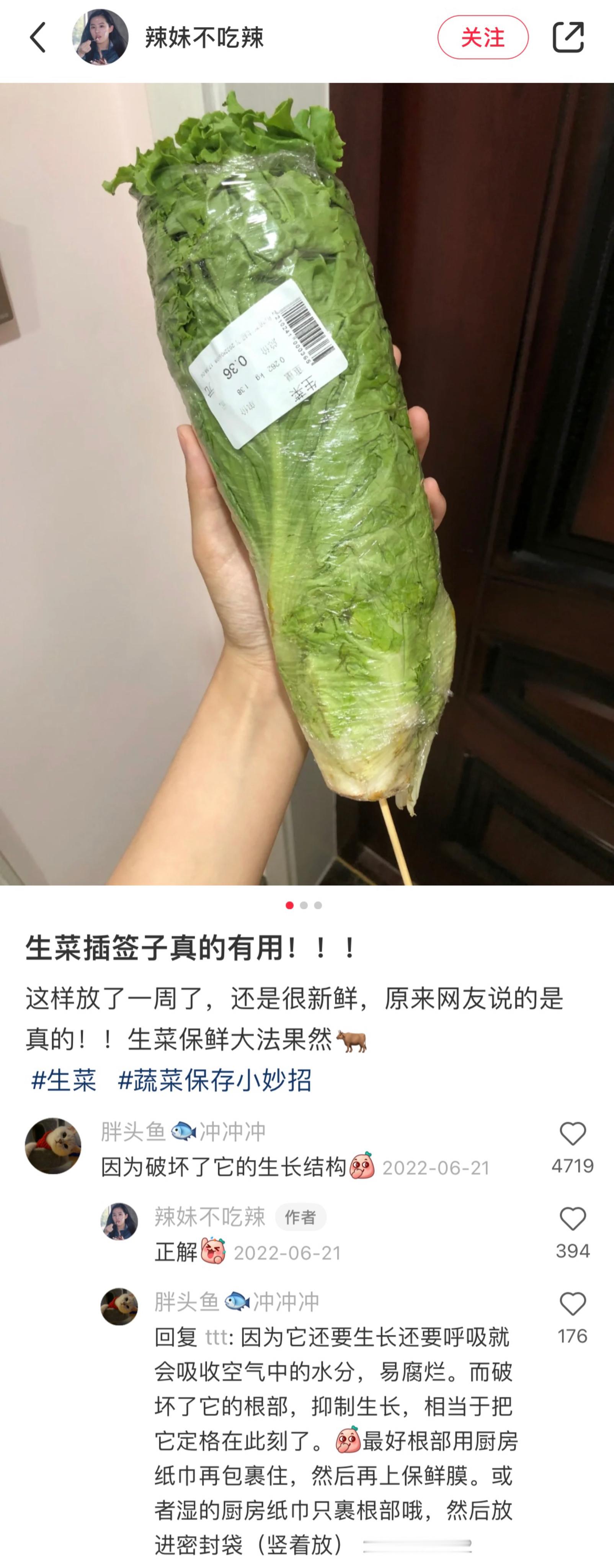 互联网就是我生活里的大学​​​