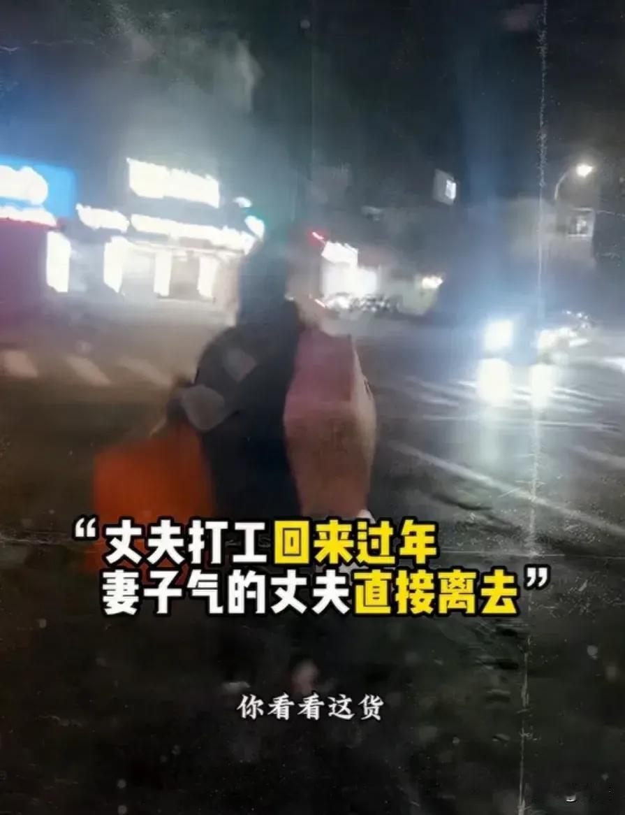 深夜，雨夹着雪，男人背着两个行李袋回家过年。迎接他的却是妻子的怒骂:没本事，一年