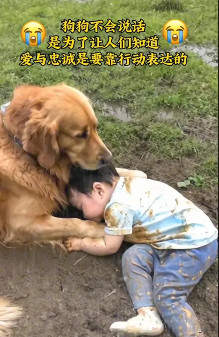 泪目了！这天小姐姐一家人带着狗狗去河边露营烧烤，小姐姐他们正在认真的忙着烧烤，而