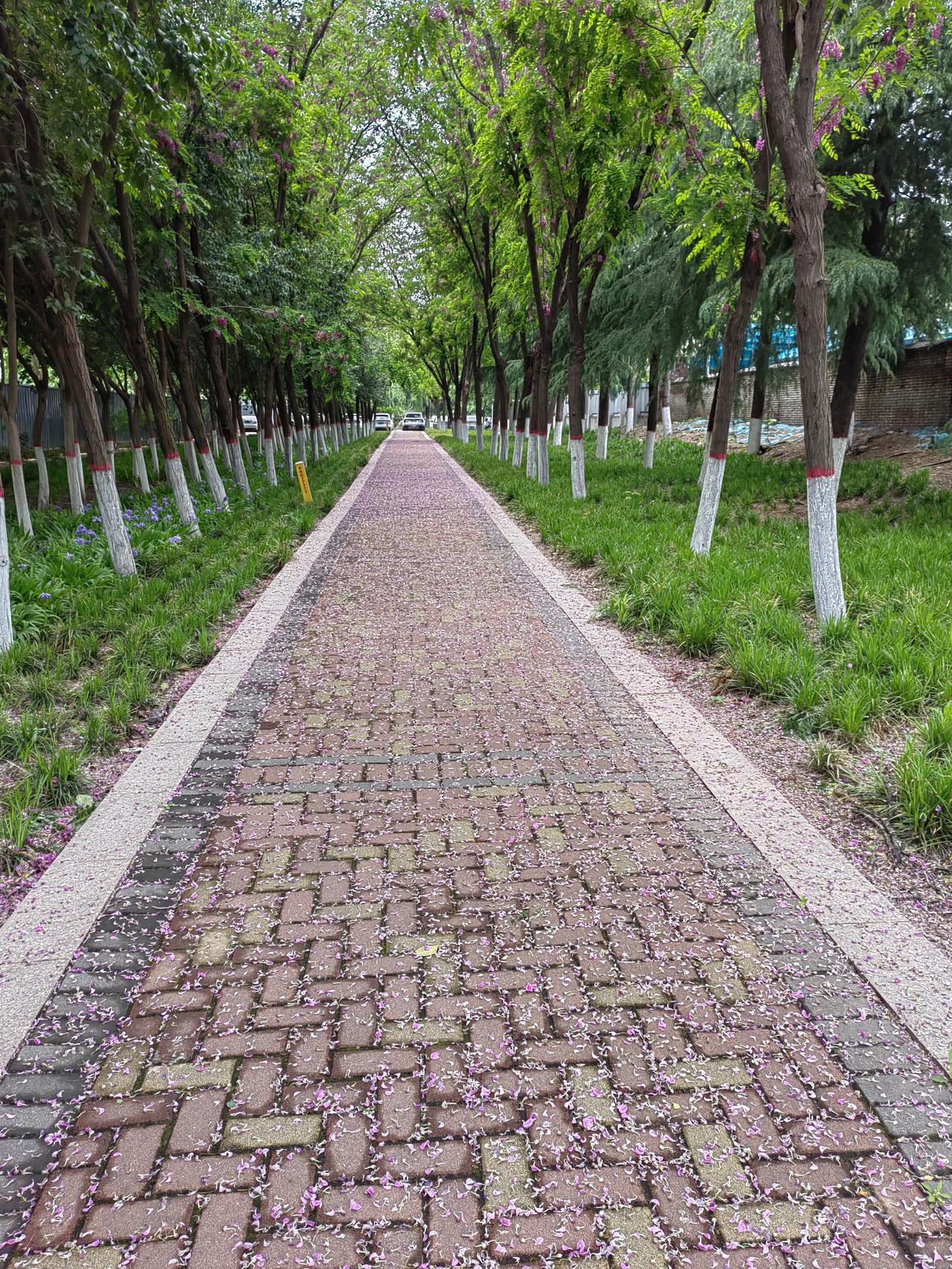 一五十八岁的男子对女儿说：你爷爷五十八岁时什么都不干了，虽然身体好好的，但全靠我