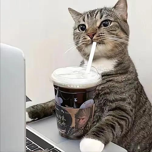 我朋友这波操作，直接让我跪服！智商高的人解决问题，果然不按常理出牌！住三楼