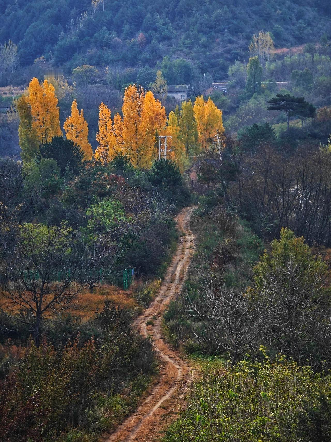 自然风光分享我的摄影日记风景如画的地方