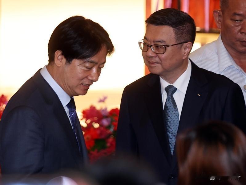 他抽了赖清德的嘴巴怎么回事？赖清德前脚刚讲了，与美国的谈判不会触及汇率问题