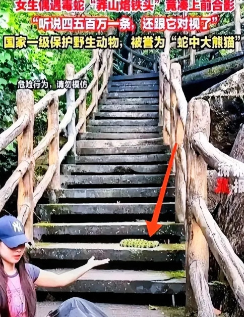 女子在三亚被毒蛇咬伤救治无效身亡。6月1号当晚11点多，女子与男友走在路上，在有