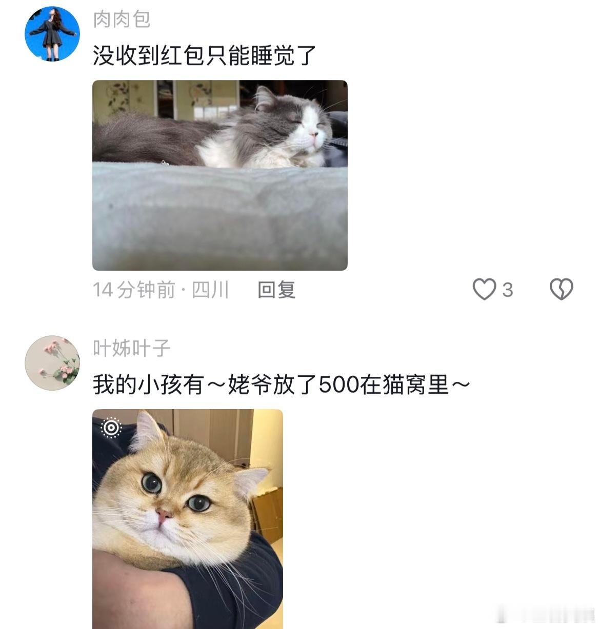 “他们根本没有把你的孩子当人看”哈哈哈哈哈哈哈哈！！！