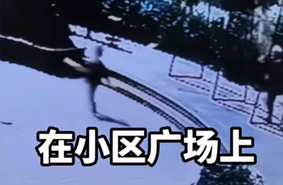 太无辜了，内蒙古一小女孩在小区的广场上玩秋千的时候，把一个92岁的老奶奶给撞倒了