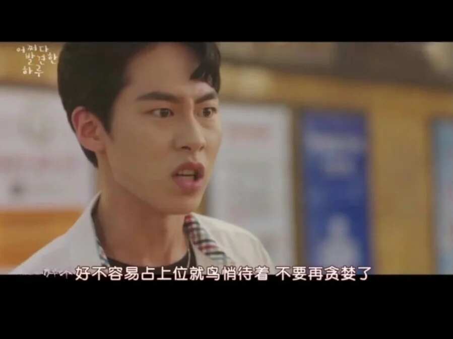 东北人不准当翻译！！