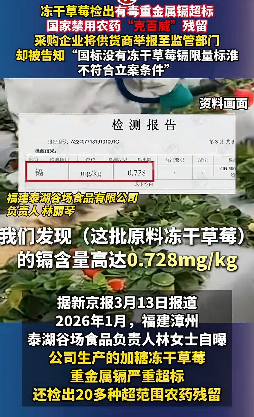 比冻干草莓更让人诧异的是，那句答复：“国标没有冻干草莓镉限量标准，不符合立案条件