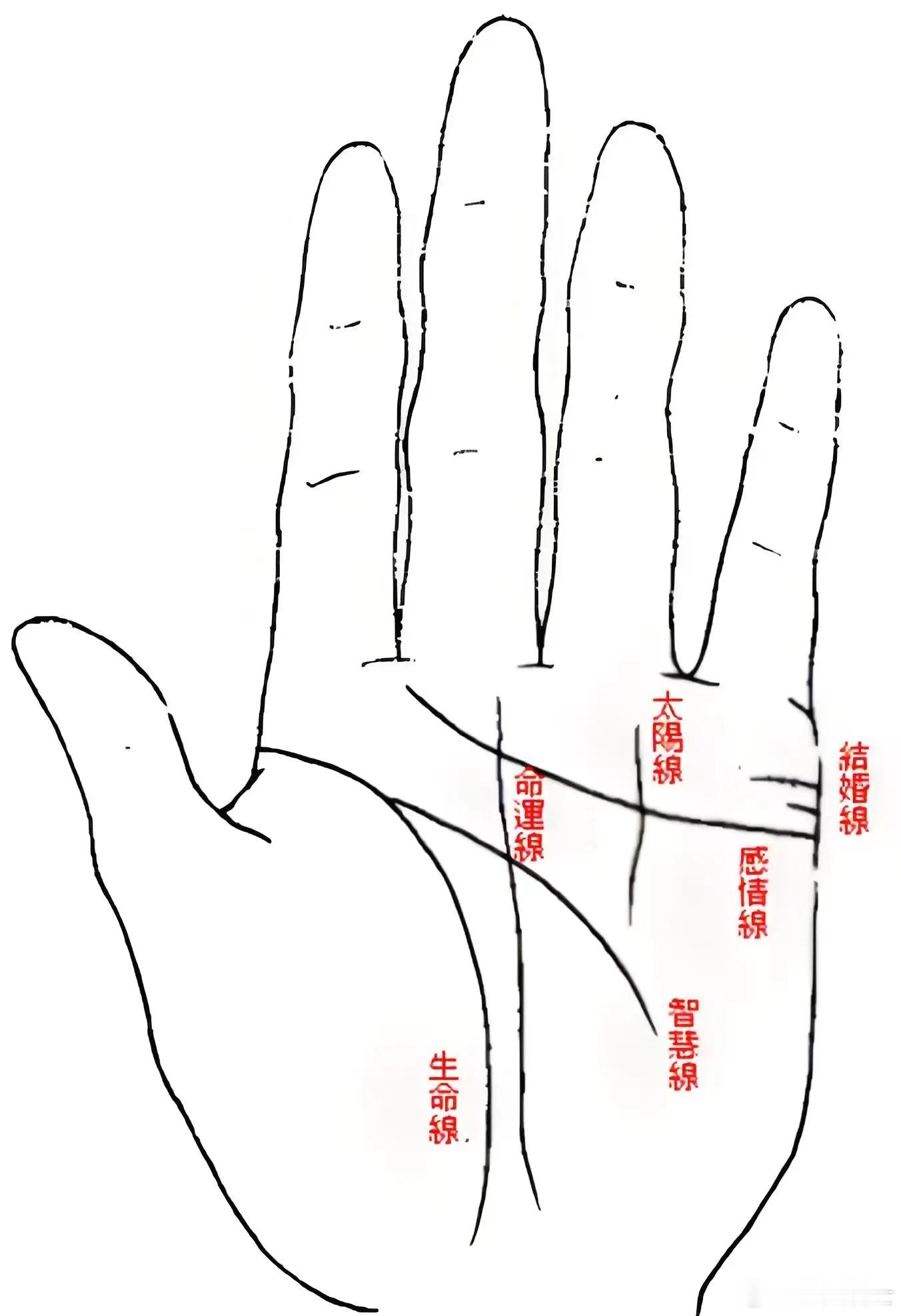 看手相的方法越简单越好。首先入门不要贪多，主要就是看掌心、掌色、掌纹跟指缝。掌型