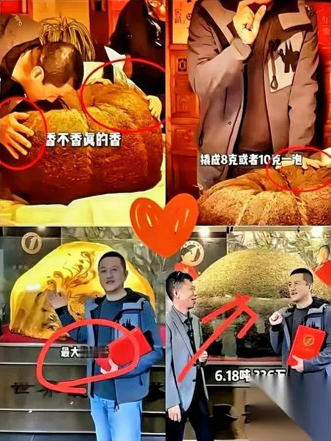 点进李亚鹏直播间，我惊到了眼前堆着座6吨多的茶山这哪是卖茶？分明是让我继