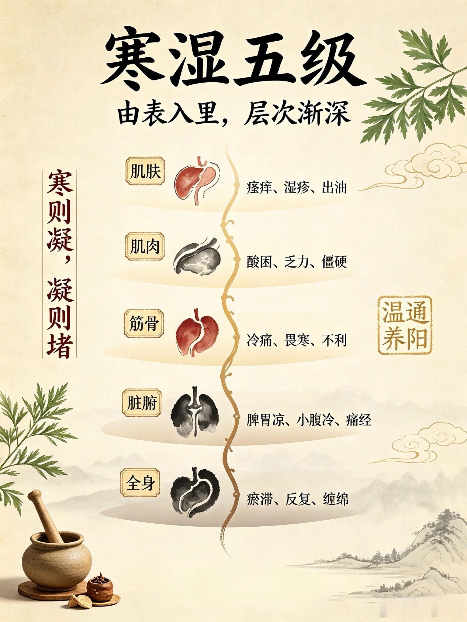 很多朋友身上各种不舒服，追根溯源，绕不开两个字：寒湿。寒湿它不是一夜之间形成的，