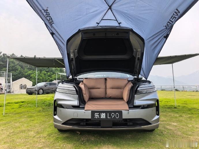 还有2个月到年底，各种总结马上就要来了。如果有“一举改变企业现状”的奖项，乐道L