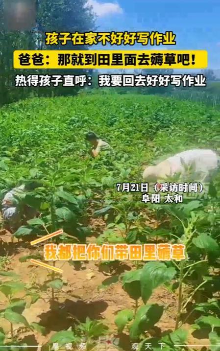 “肠子都悔青了！”近日，安徽阜阳，3个孩子在家不好好写作业，男子就将他们带到地里