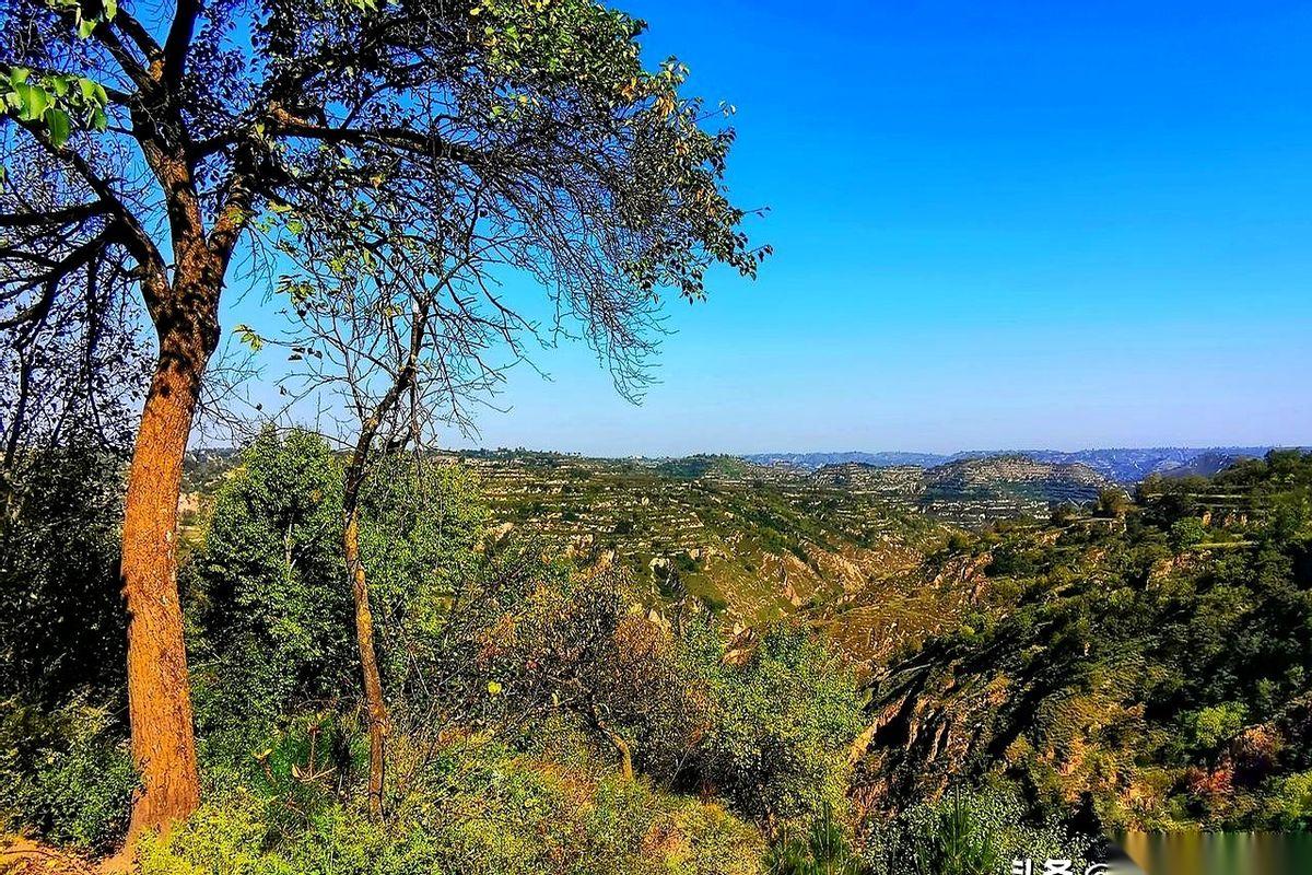 等你发现全公司都知道了，就你不知道的时候，别怀疑。结局其实就已经写好了。重