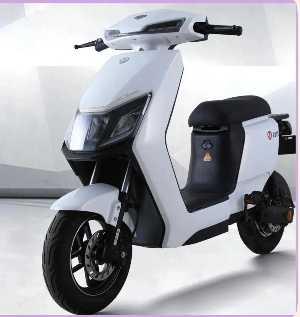 新国标电动车自行车被称为丁克车你怎么看？说新国标电动车自行车是“丁克车”，还挺