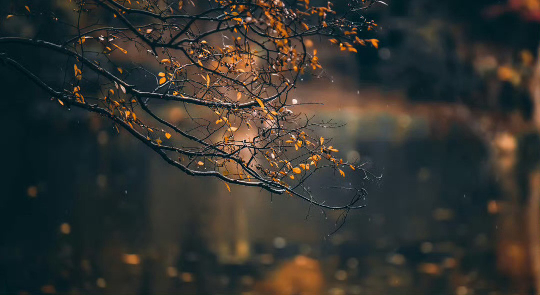 “空山新雨后，天气晚来秋。”​​​