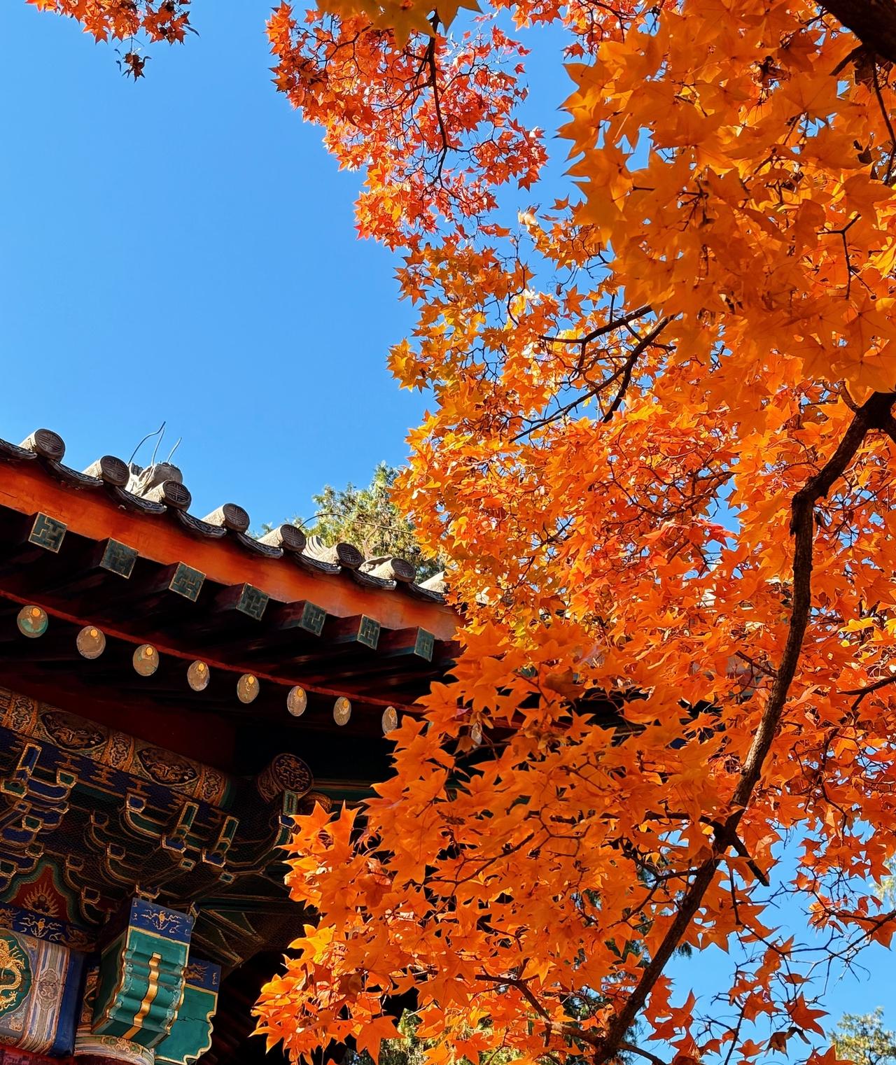 国内最出名的十大公园：1、颐和园2、天坛公园3、西湖4、拙政园