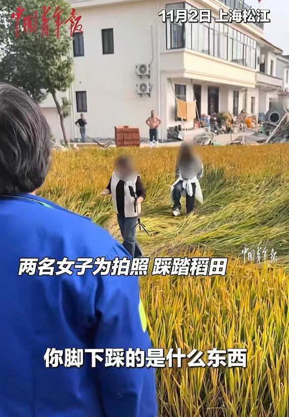 太气人了！近日上海松江，两个女子为了拍照，竟然进别人家的稻田里踩踏，大姨出门制止