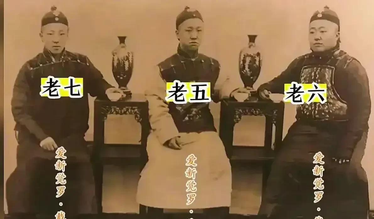 载沣，大清监国摄政王。载洵，大清海军总司令。载涛，大清陆军总司令。得亏载沣