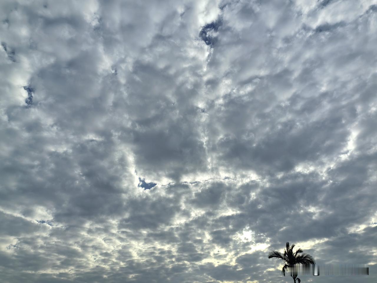今日大雪！冷空气继续影响我国北方地区，南北温差较大。周末广东天气晴朗，继续升温中