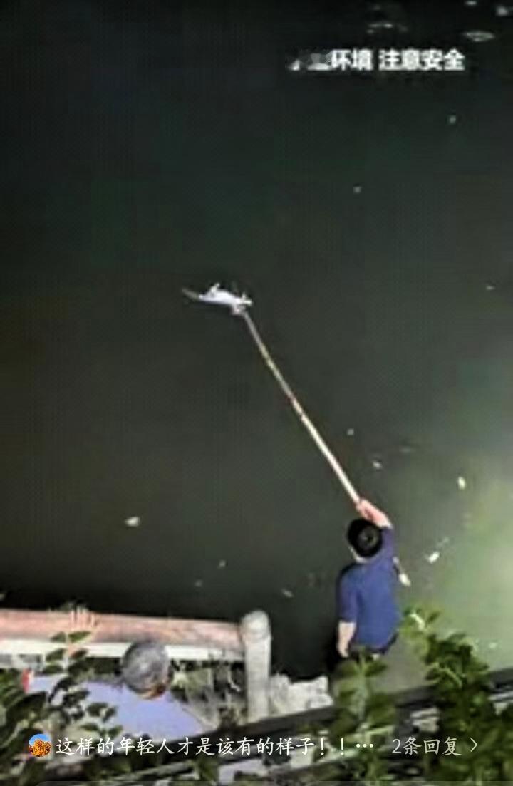 上人民日报了！成都，锦江畔上一只流浪猫落水，因为体力不支再也没有力气游向岸边