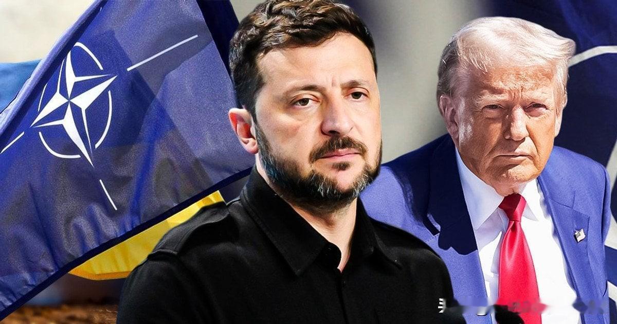 美国政策改变后，对乌克兰的军事援助是否减少？北约作出回应美国总统特朗普决定