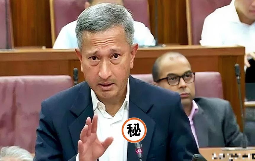 新加坡急了，在东盟的会上，外长几乎是拍着桌子，让中国“尊重”马六甲的地位。翻译一