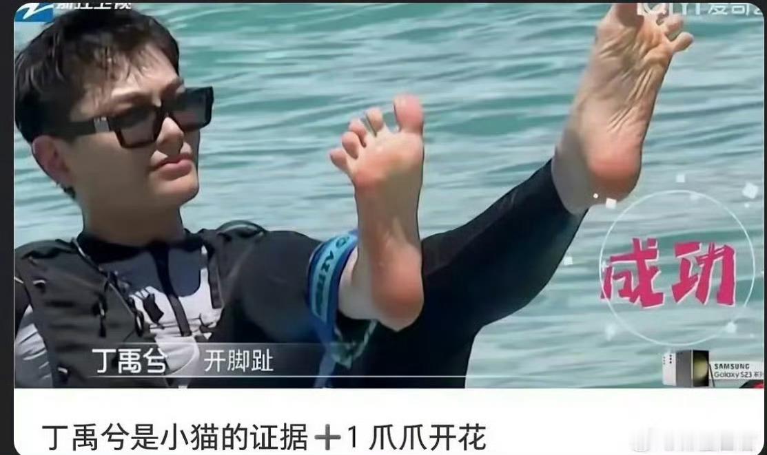 哇哦小猫咪哎​​​