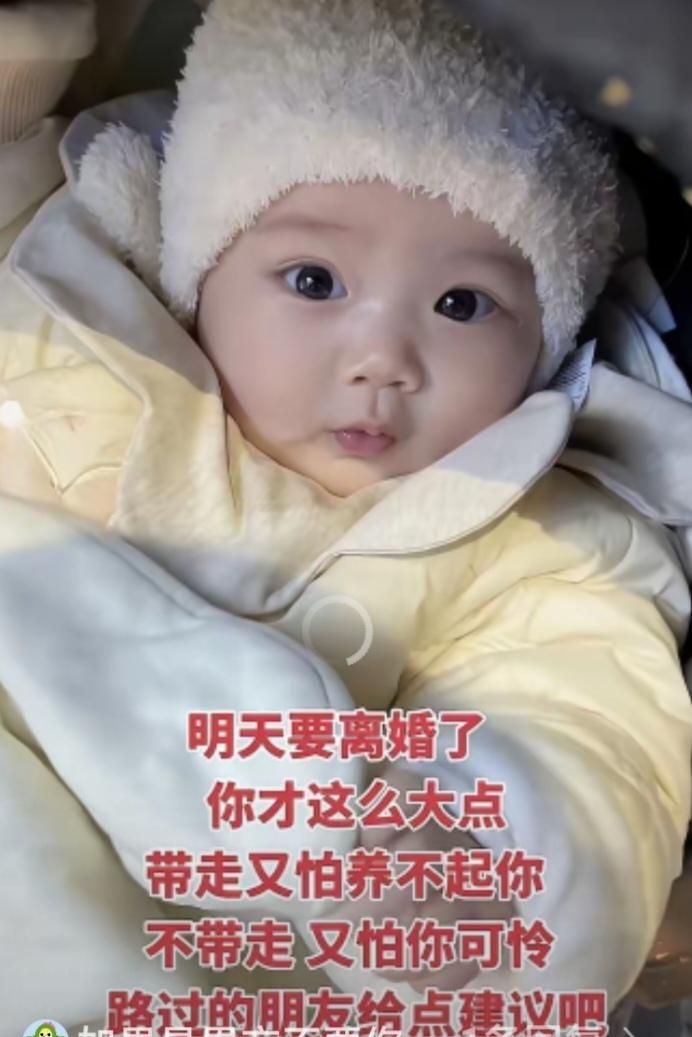 明天要离婚了，你才这么大点，带走又怕养不起你，不带走，又怕你可怜，路过的朋友给个