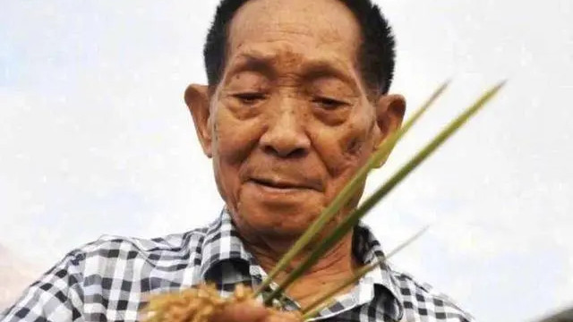 袁隆平孙女被网暴,人真的不能吃太饱