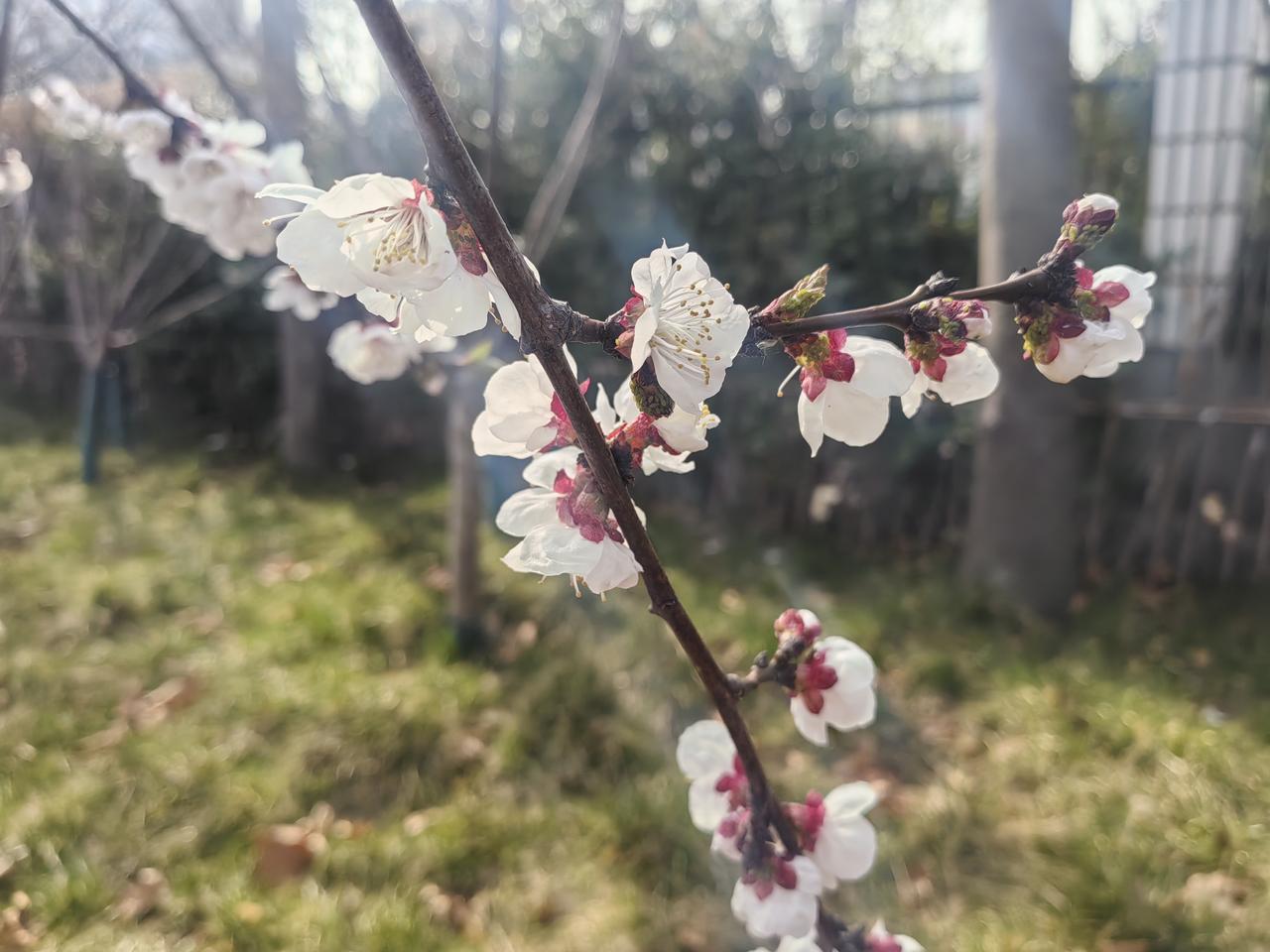 今天在小区公园散步，听说邻居刘大爷家的事，我的心情百感交集。上周五晚上快十二点