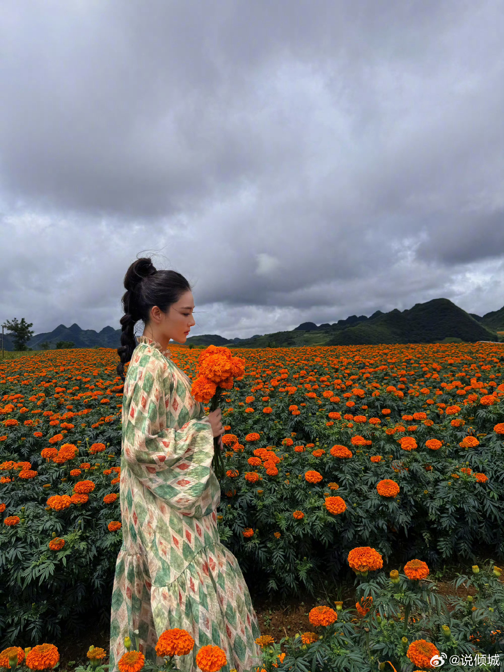 张馨予云南花海里画花谁懂啊！张馨予在云南花海里画花，画面美得像童话，这才是春天该