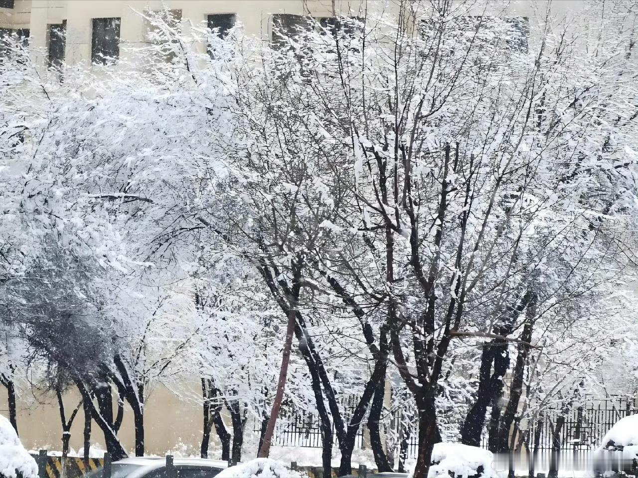 下雪最强冷空气正自北向南横扫，北方多地要“一夜入冬”，南方的“秋老虎”也终于要下