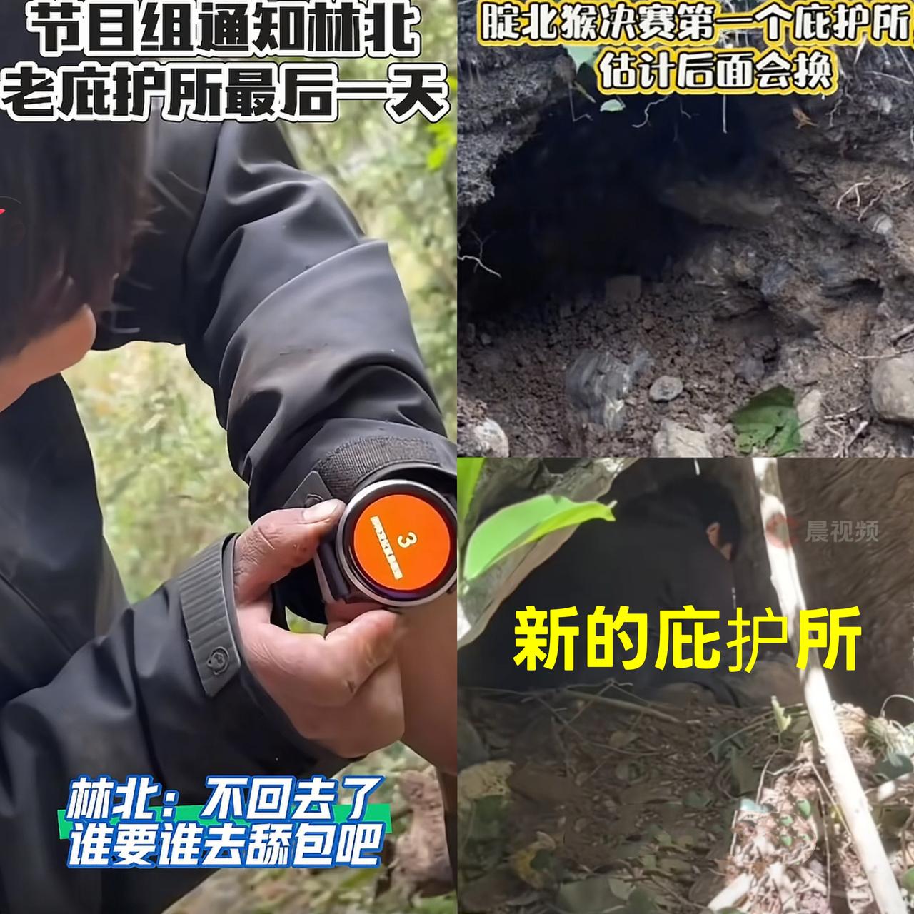节目组懵了，观众也懵了，没想到林北因为庇护所要退赛？今儿节目组下了最后通