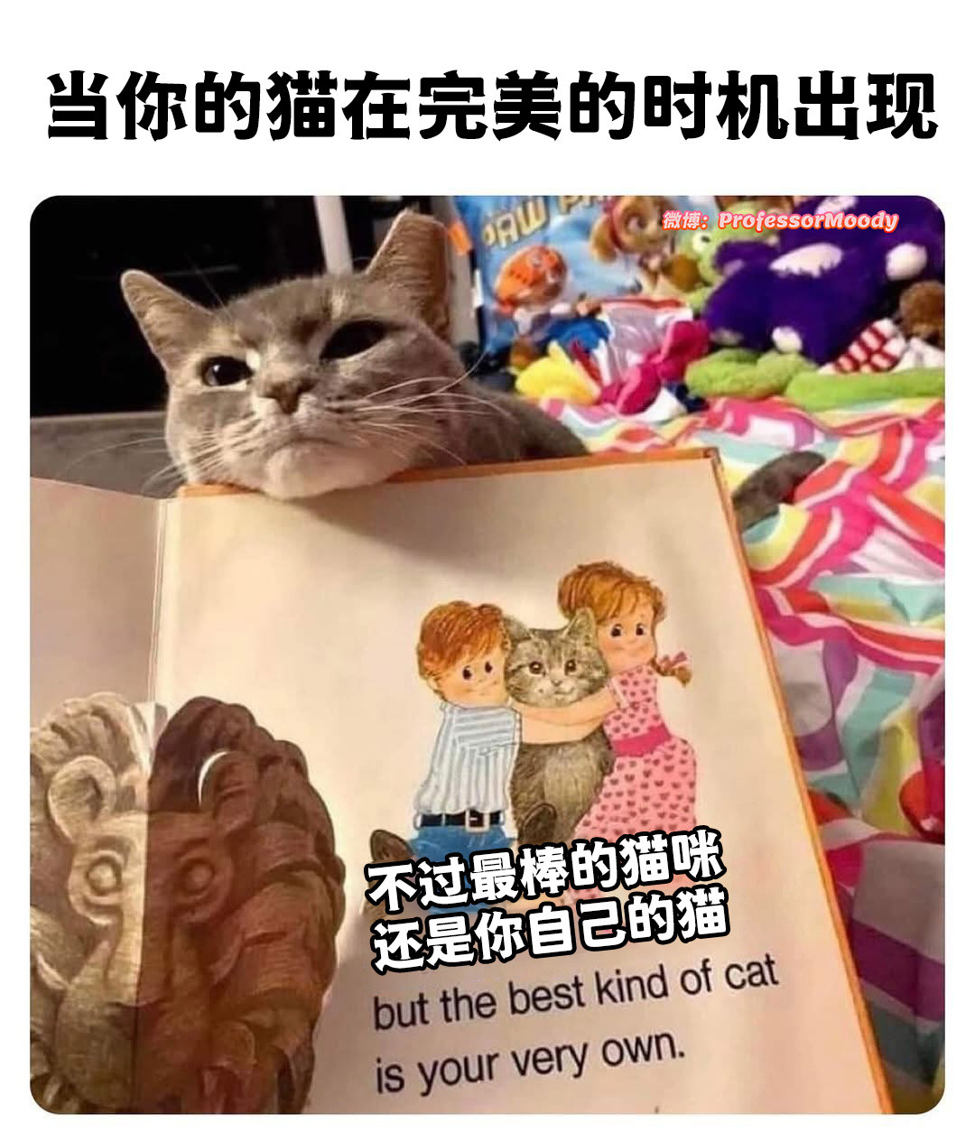 宝宝meme​​​
