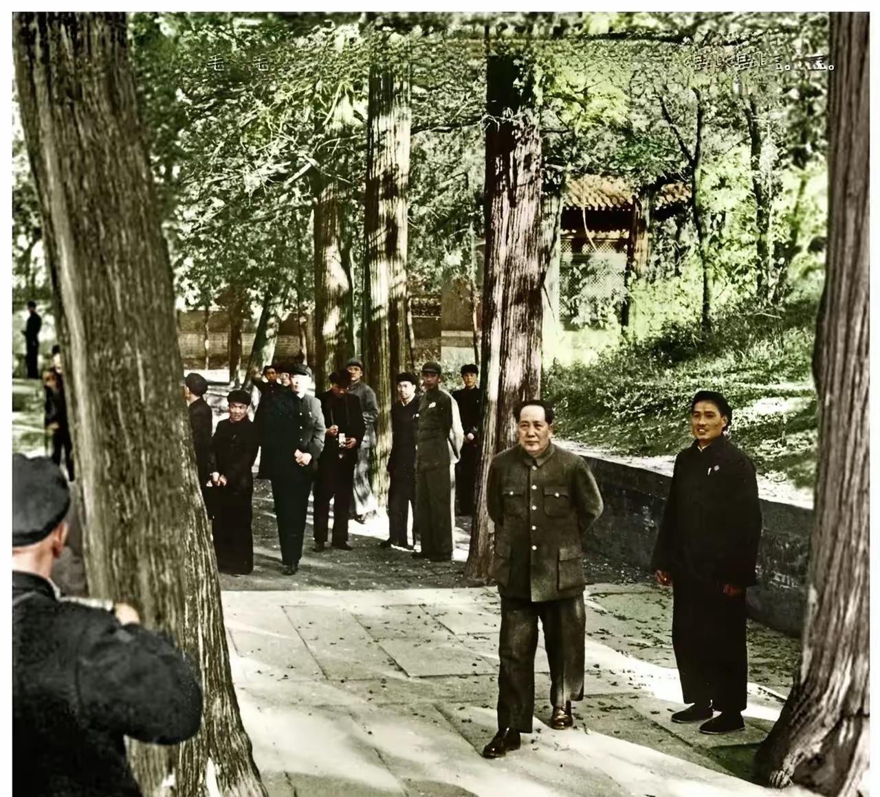 1952年10月28日，新中国际成立三年，59岁的毛泽东主席到山东曲阜视察。现