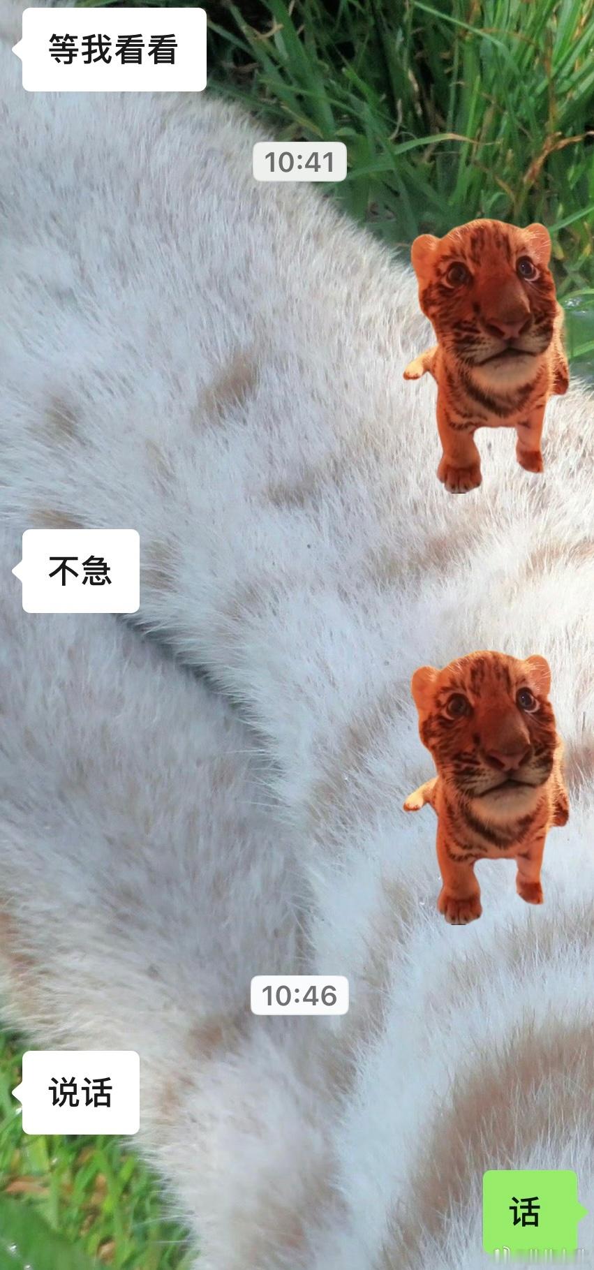 表情包发多了也不行...嘿嘿